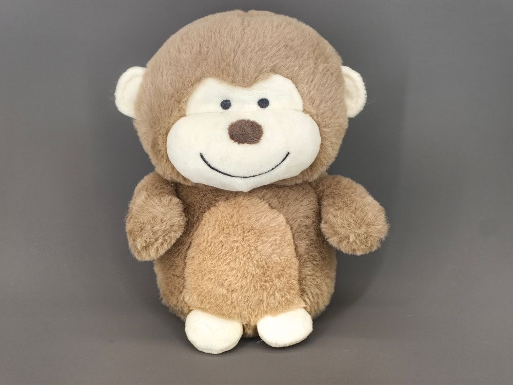 Baby monkey