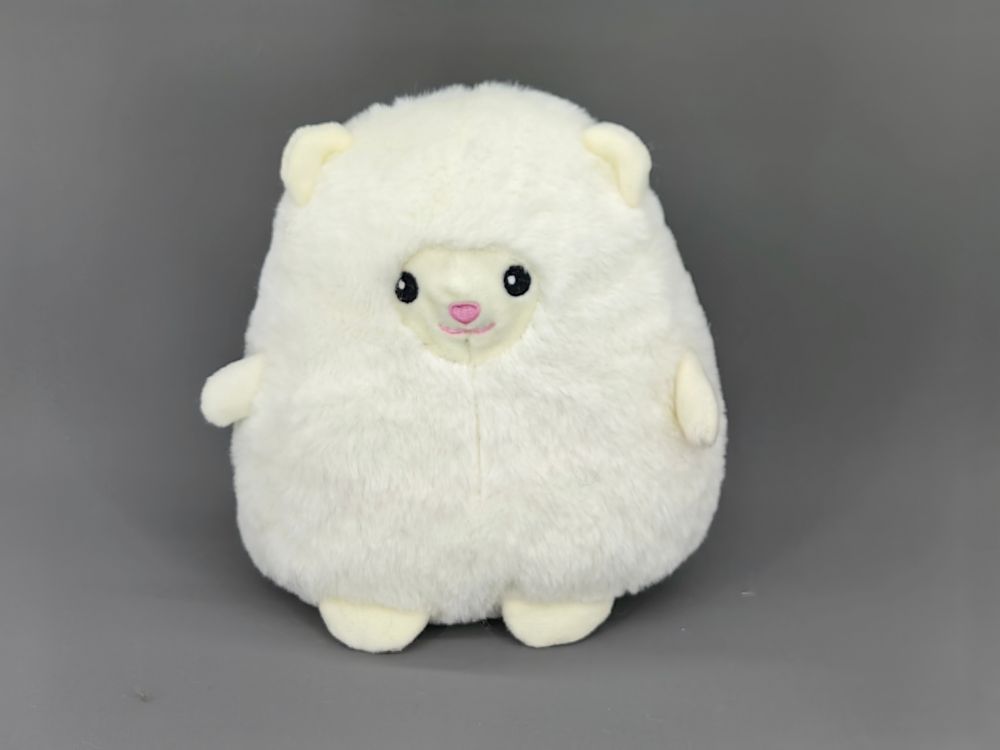 Little sheep